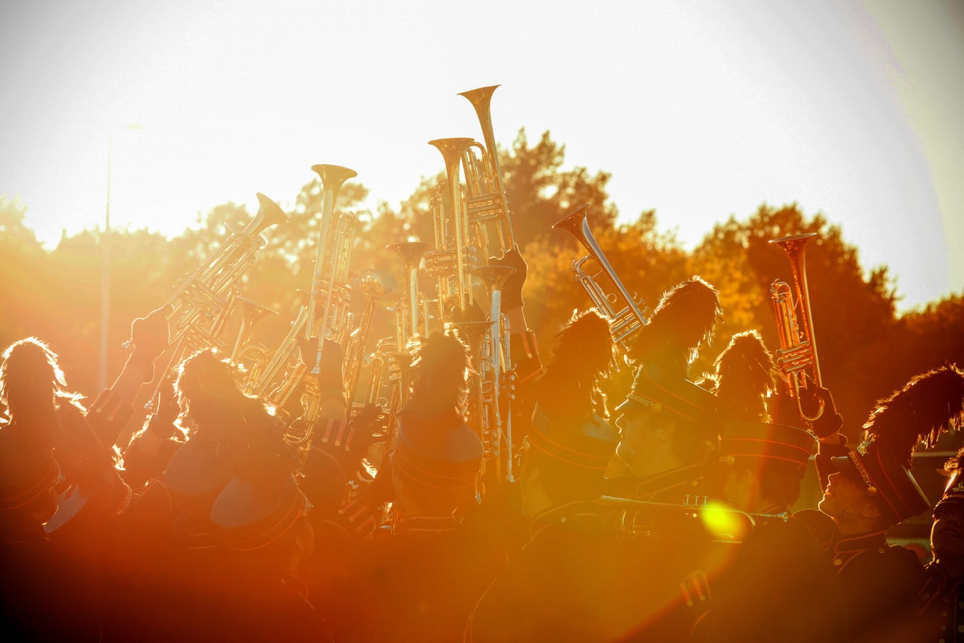 Concert crowd sunburst, trumpets, live energy.