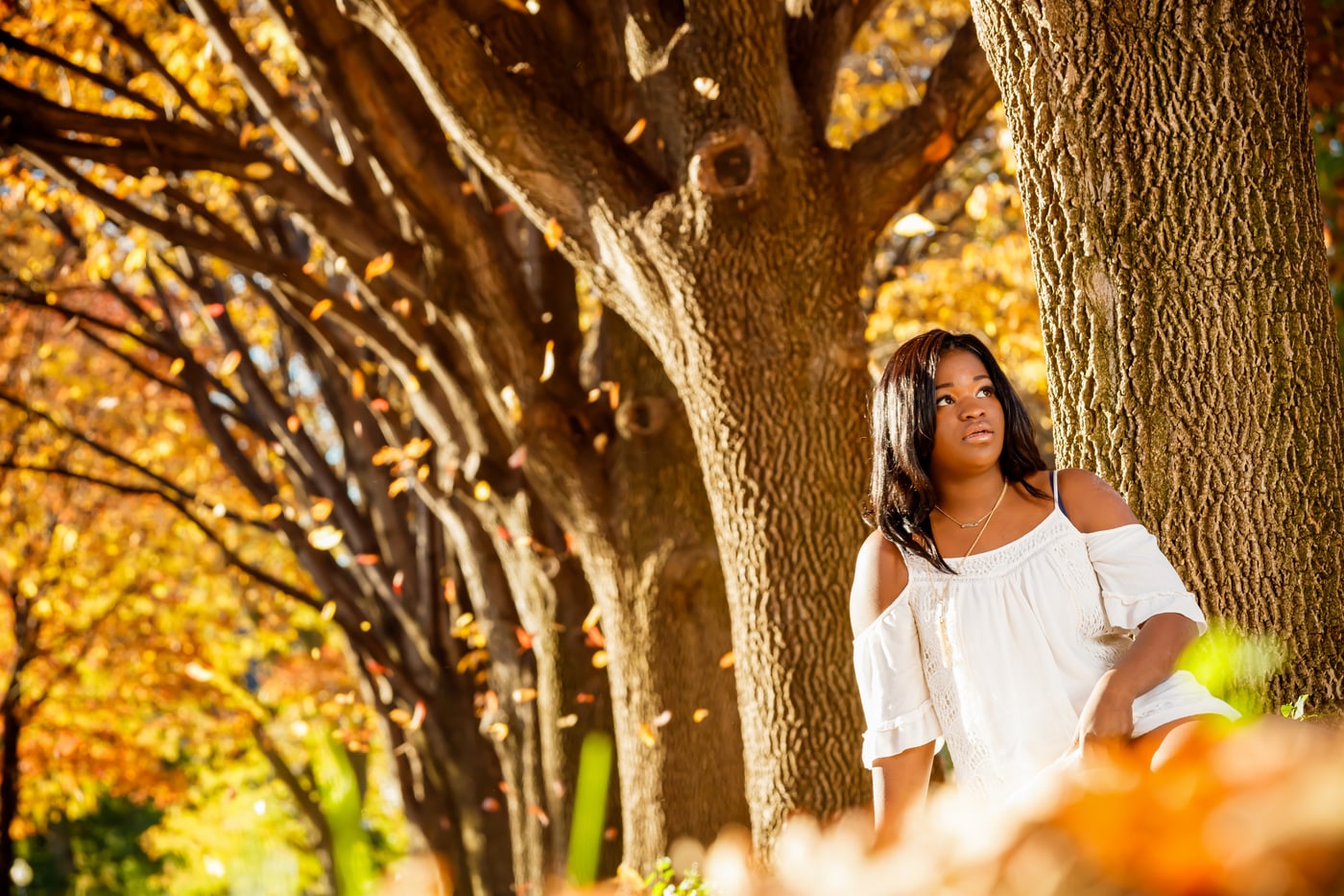 Autumn senior portrait in golden trees.